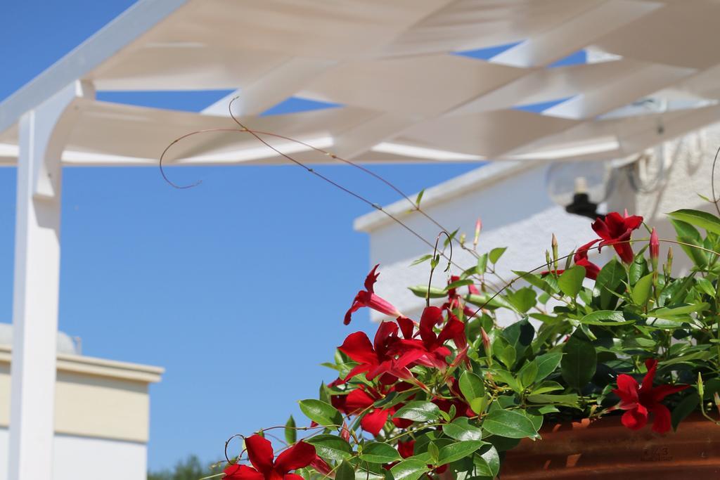 Mare Relax Villa Lido Marini Exterior photo